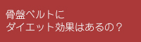 �_�C�G�b�g �������� �ȒP